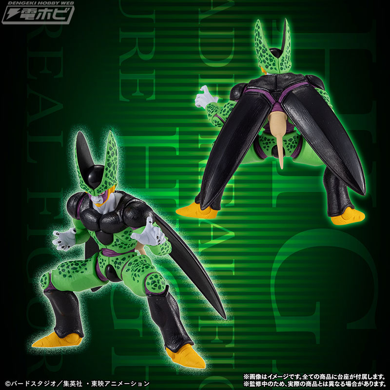 HGドラゴンボールシリーズより『ドラゴンボールZ』セルの各形態を集め
