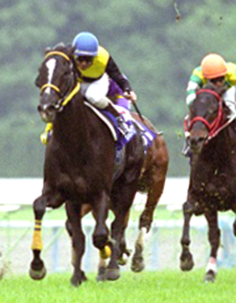 平成ラストG1「天皇賞・春の追憶」浜木俊介が語る 平成14年（02