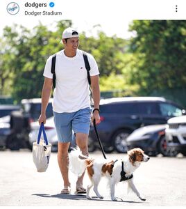 大谷翔平がデコピンと球場入り、球団SNSが秘蔵ショット…大谷