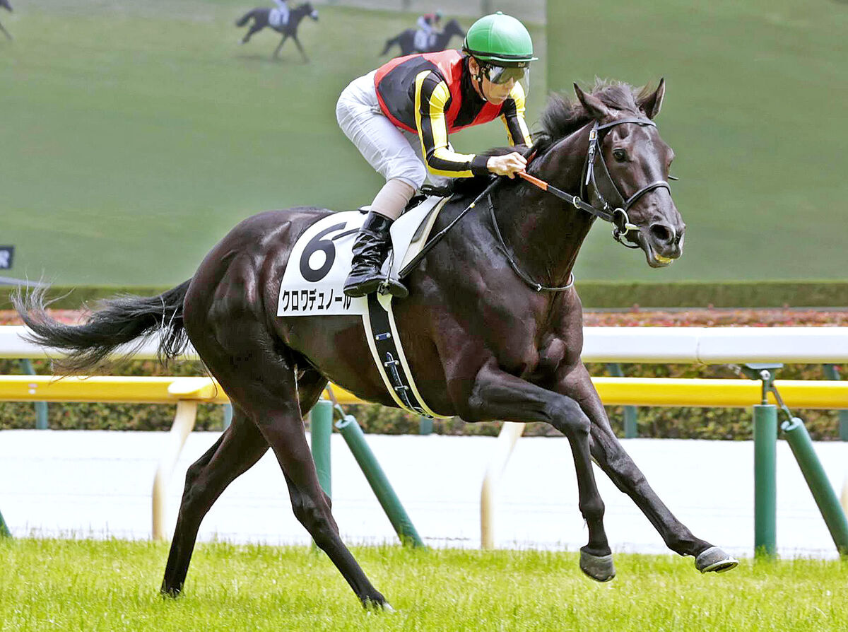 注目馬動向】新馬戦快勝のクロワデュノールは東京スポーツ杯2歳Sへの