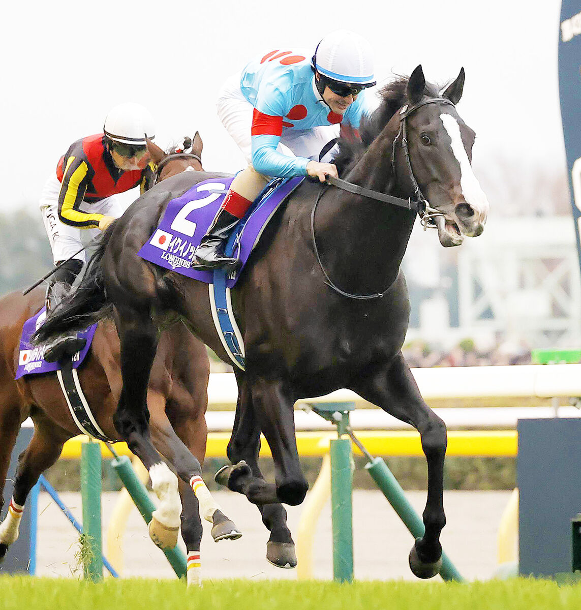 JRA賞】イクイノックスが2年連続年度代表馬 ルメール騎手「私