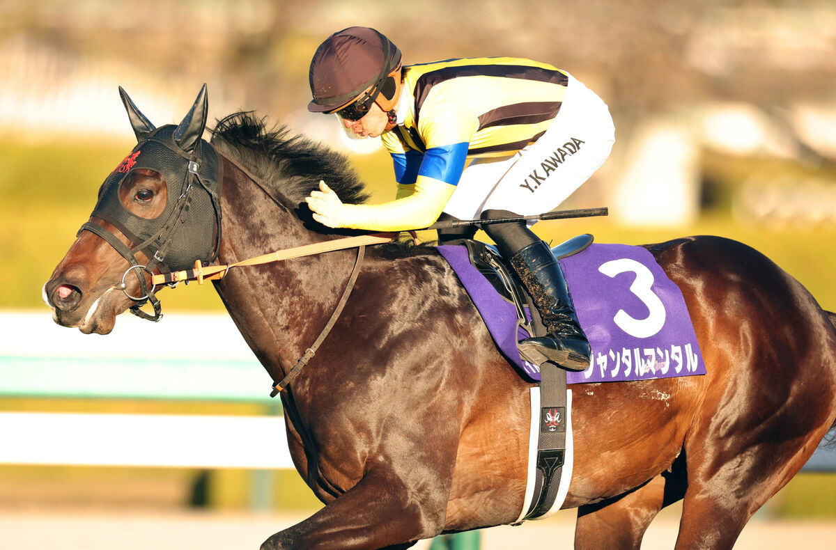 JRA最優秀2歳牡馬ジャンタルマンタル号「朝日杯」フォトブック