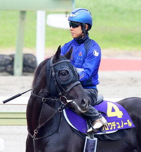 クロワデュノールは「勝たなきゃ」 日本ダービーから凱旋門賞へ