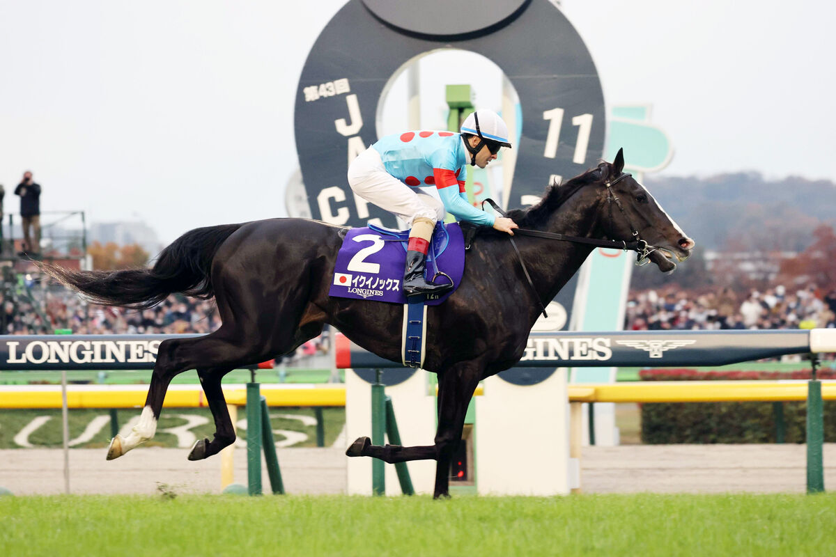 競馬非売品 2020年イクイノックス募集時 カタログ募集時馬体重メモ記載