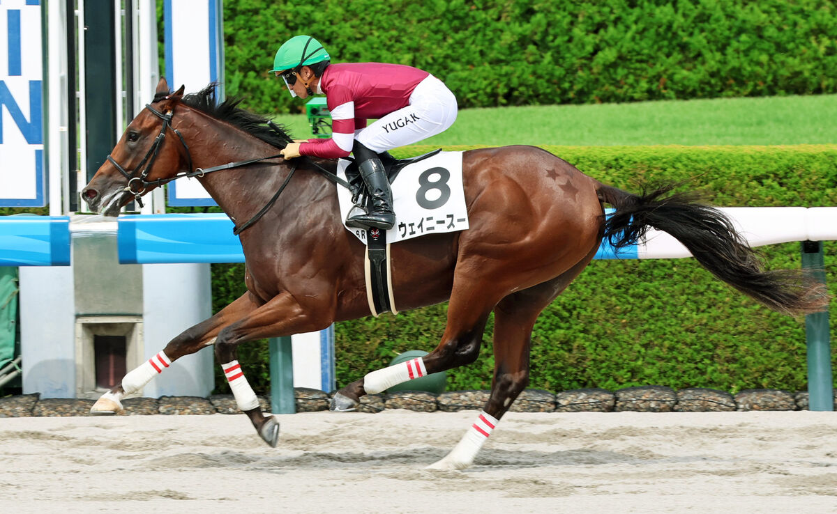 3週連続で高額馬が圧勝デビューの中内田厩舎 再び現れたダートの怪物