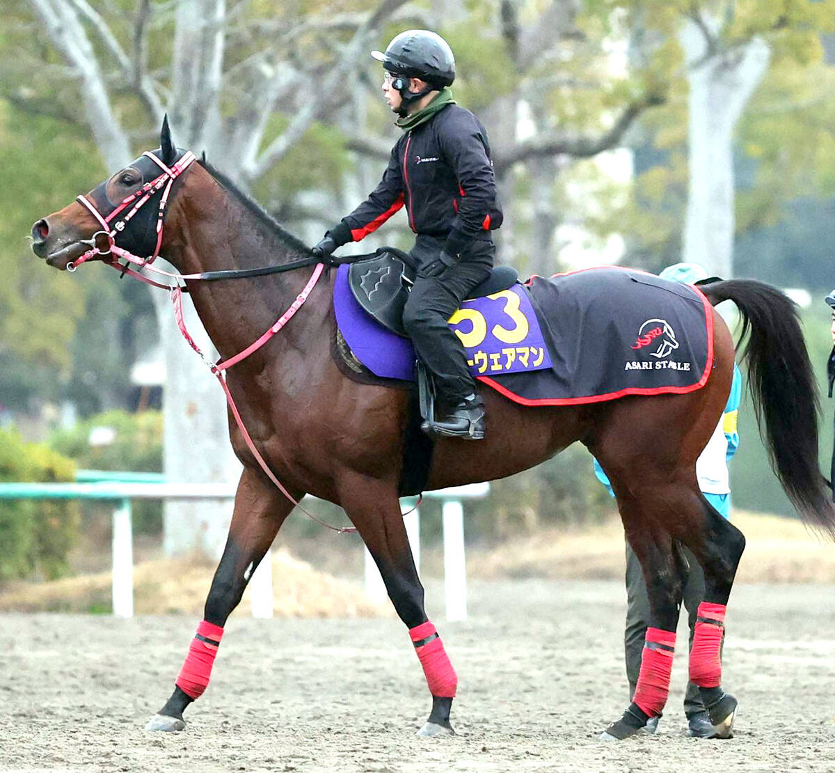 ホープフルS】開業1年目初めての重賞出走がG1 「馬もやる気になっ