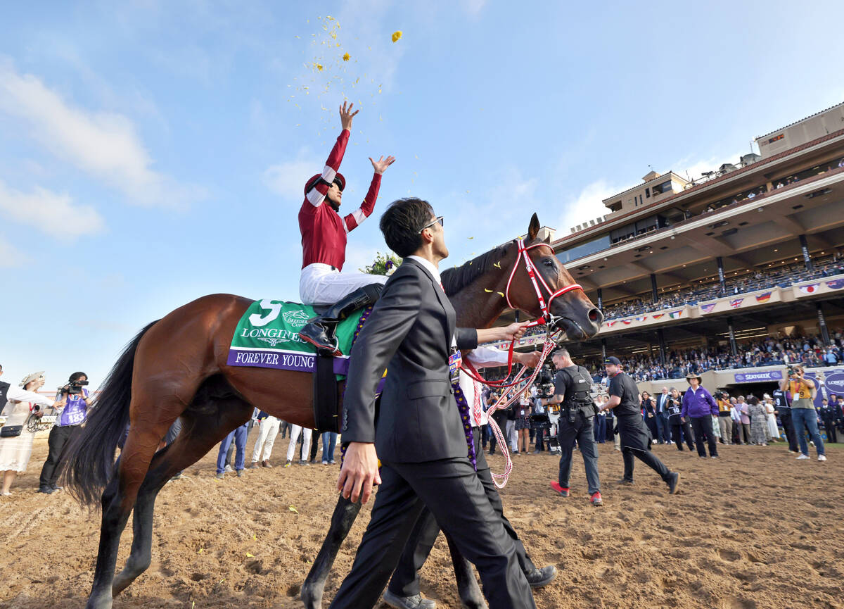 ご褒美にニンジンをたくさんあげようと思います！」坂井瑠星騎手が