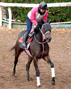 ベリベリホースって何？】戸崎圭太騎手が感激と興奮の余り馬上