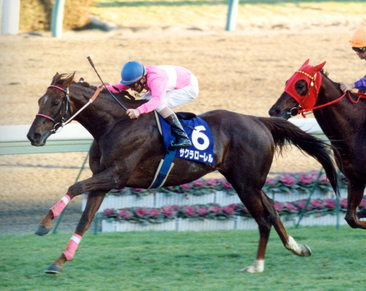 サクラローレル死す 29歳老衰で 小島太・元調教師「一言で言うと