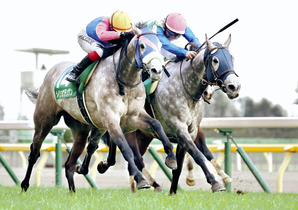 ダイヤモンドS】最低16番人気ミライヘノツバサV JRA重賞史上3