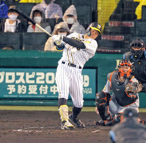 阪神】佐藤輝明、甲子園初打席初安打…内角攻めも「今日はしっかり打つ
