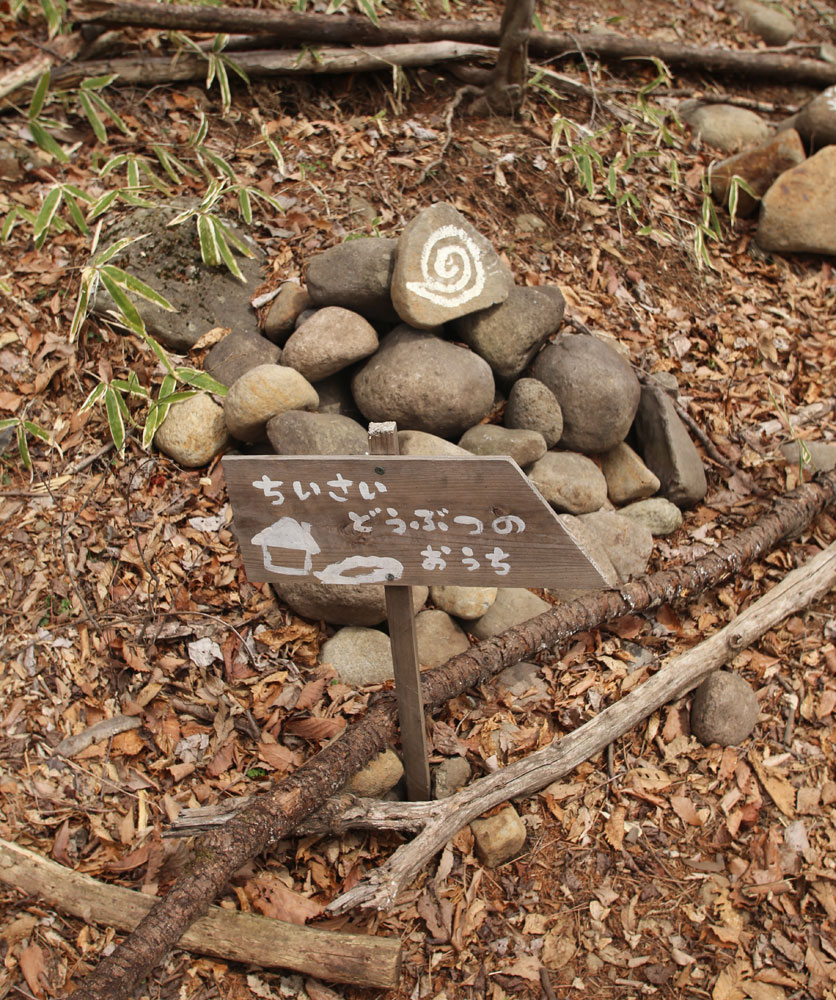 大豆生田啓友先生✕つるの剛士さん｜注目園訪問レポート「子どもの主体