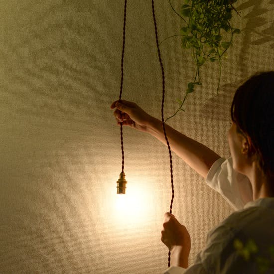 eNproduct / ハンガーライト / hanger light - 北欧、暮らしの道具店