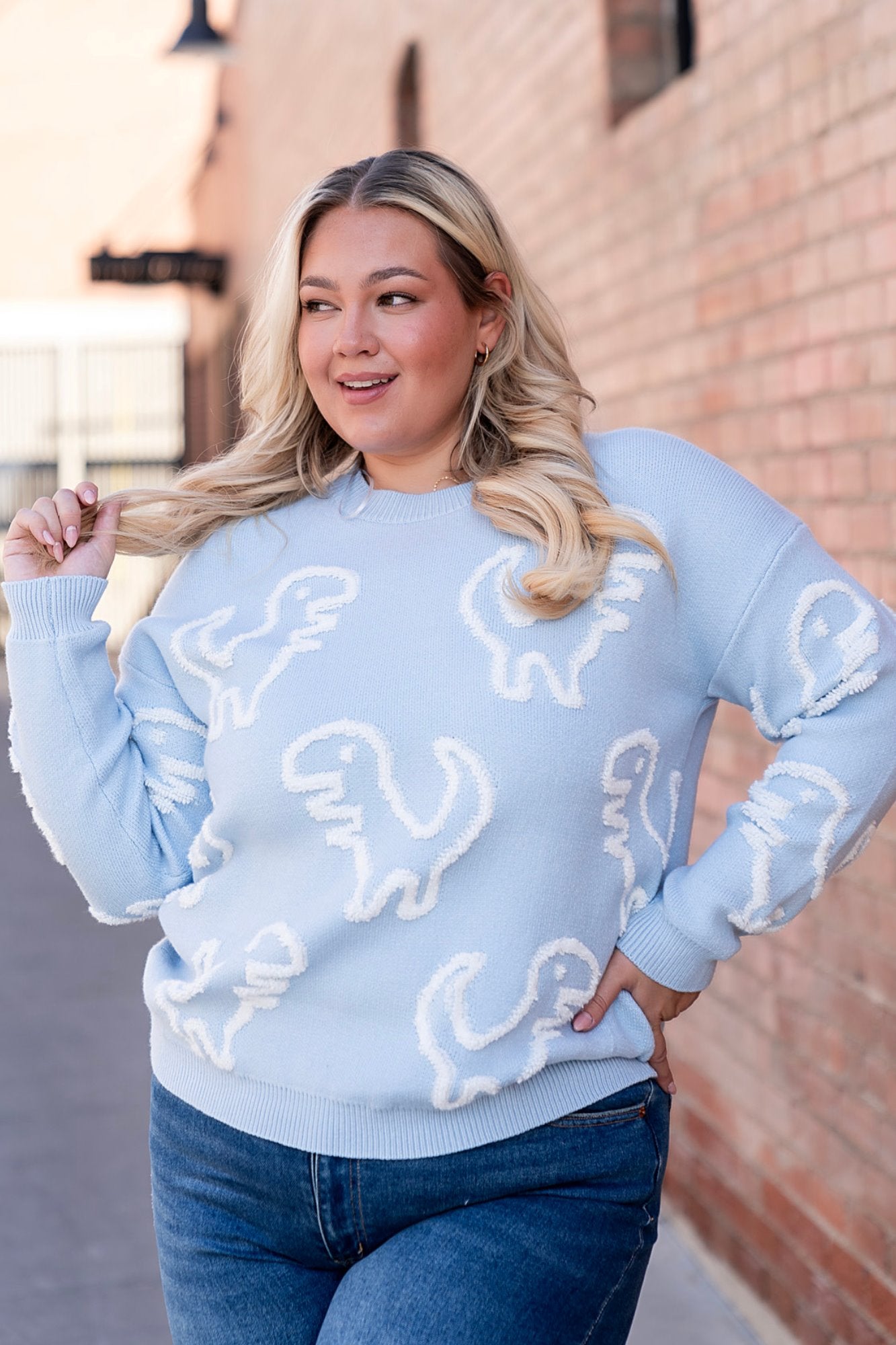 Rex Sweater in Sky - FINAL SALE – Holley Girl