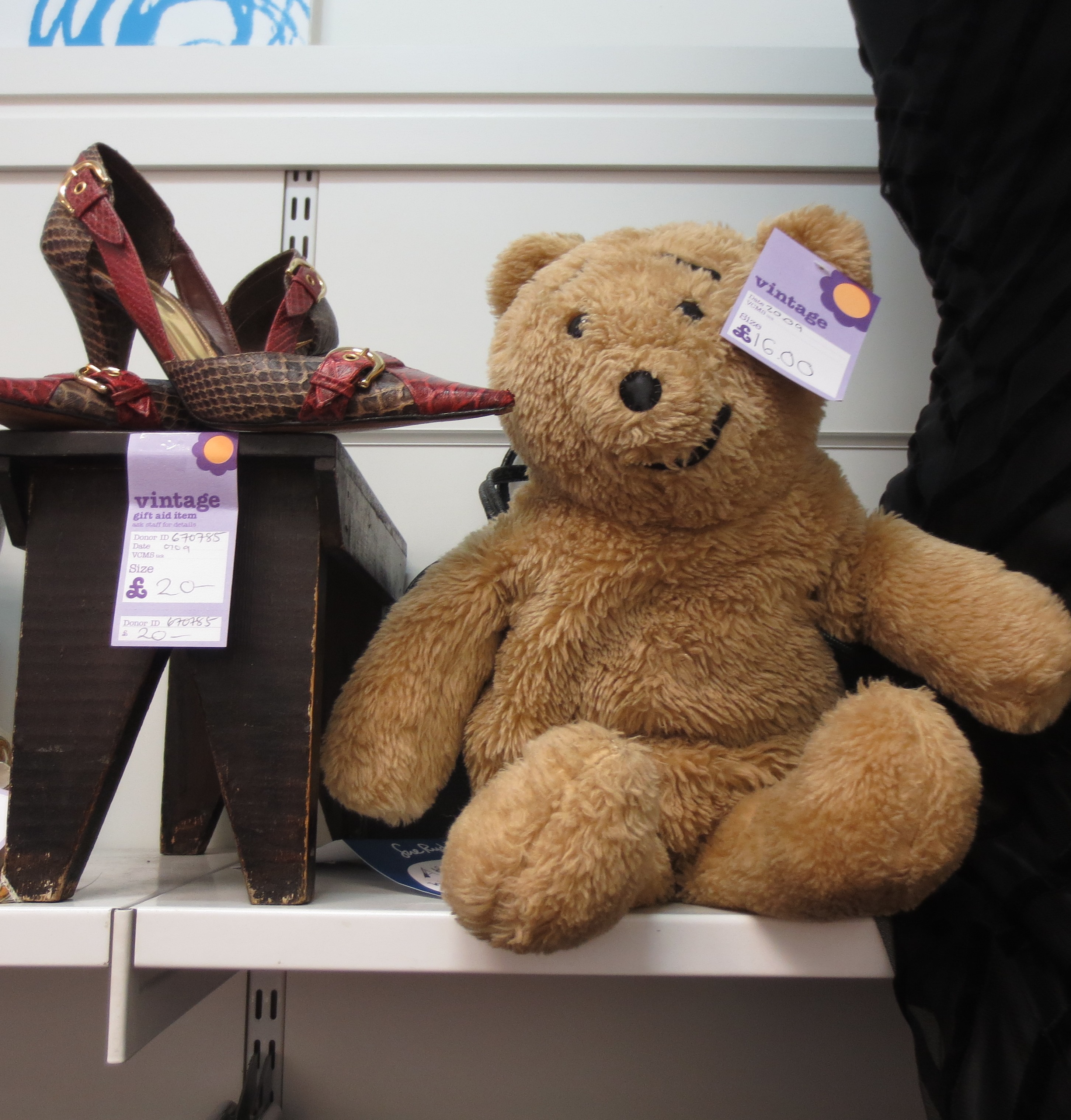 About Me | Horace the Alresford Bear