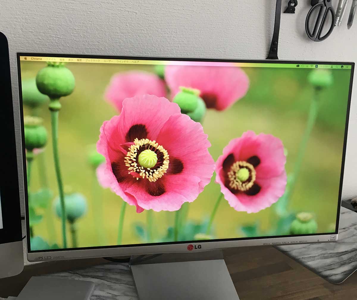 リビングの壁掛けテレビはLG 55UF8500！デザイン重視で選びました