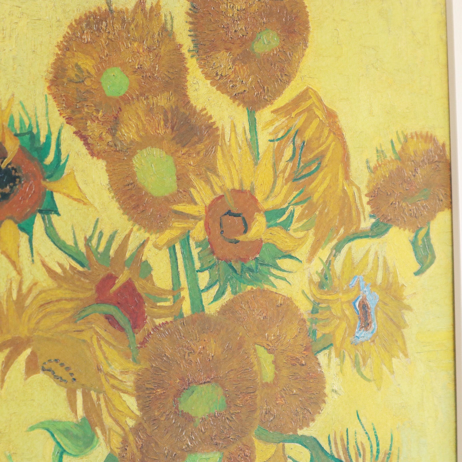 フィンセント・ファン・ゴッホ 「ひまわり アムステルダム版（6枚目