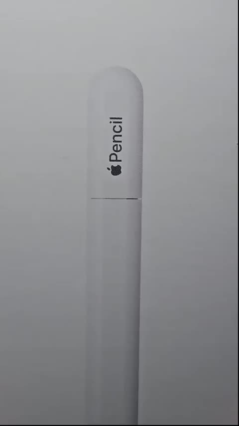 Apple Pencil Usb-c Original Lacrada Garantia 1 Ano A3085 New
