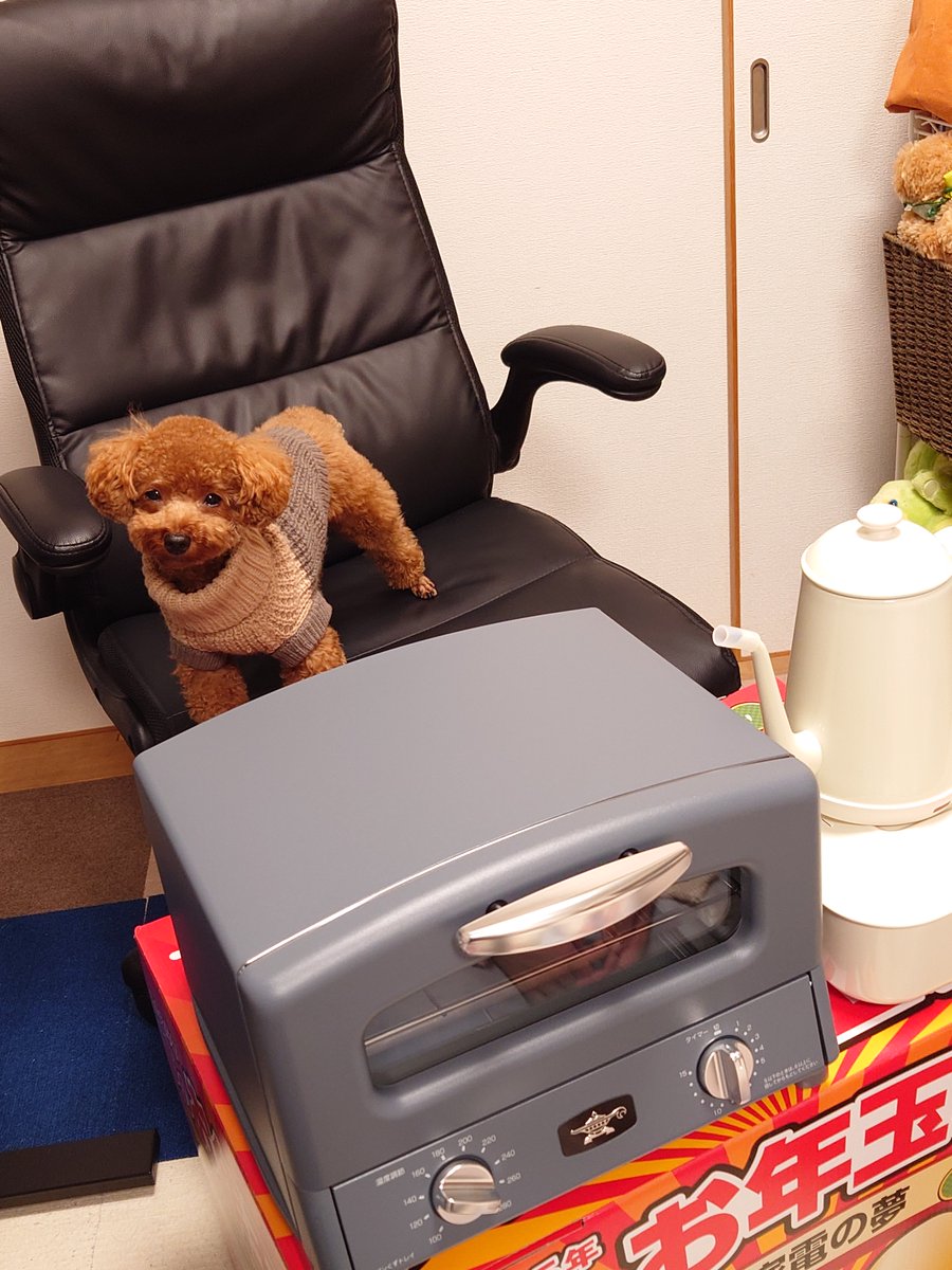 ヨドバシ『調理家電の夢』福袋[2026]の中身をネタバレ！