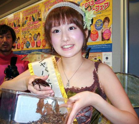カブトムシゆかり 目標は虫のお姉さん/芸能/デイリースポーツ online
