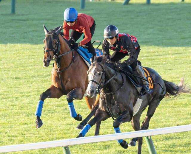 札幌記念】ホウオウビスケッツが好仕上がり 精神面成長で先週から
