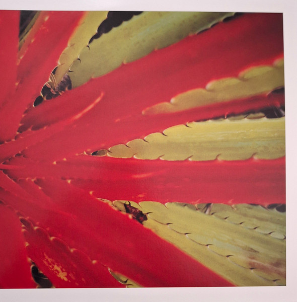 Jejune – This Afternoons Malady This Afternoons Malady – Numero Group