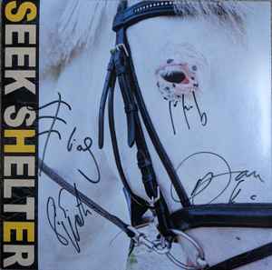 Iceage – Seek Shelter – Vinyl (Clear, LP, Album, Limited Edition