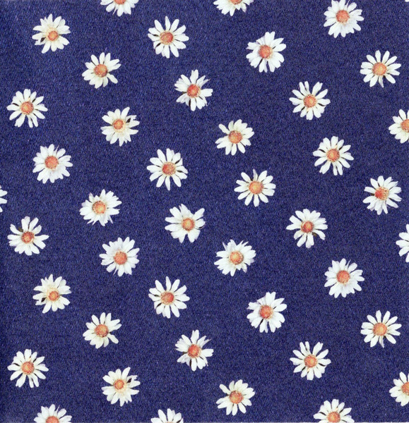 きのこ帝国 – ロンググッドバイ – CD (EP), 2013 [r5266634] | Discogs