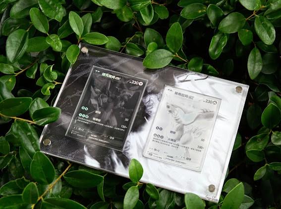 レシラムEX＆ゼクロムEX BWRセット ポケモンカードディスプレイ