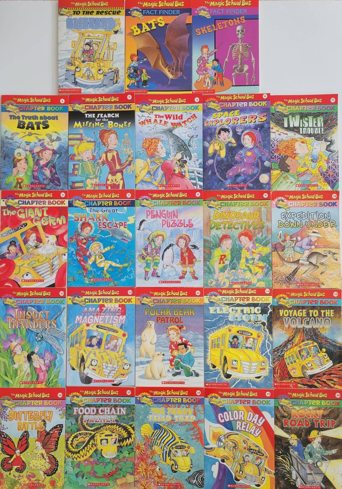 The Magic School Bus Chapter Books by Scholastic/ Vintage Book