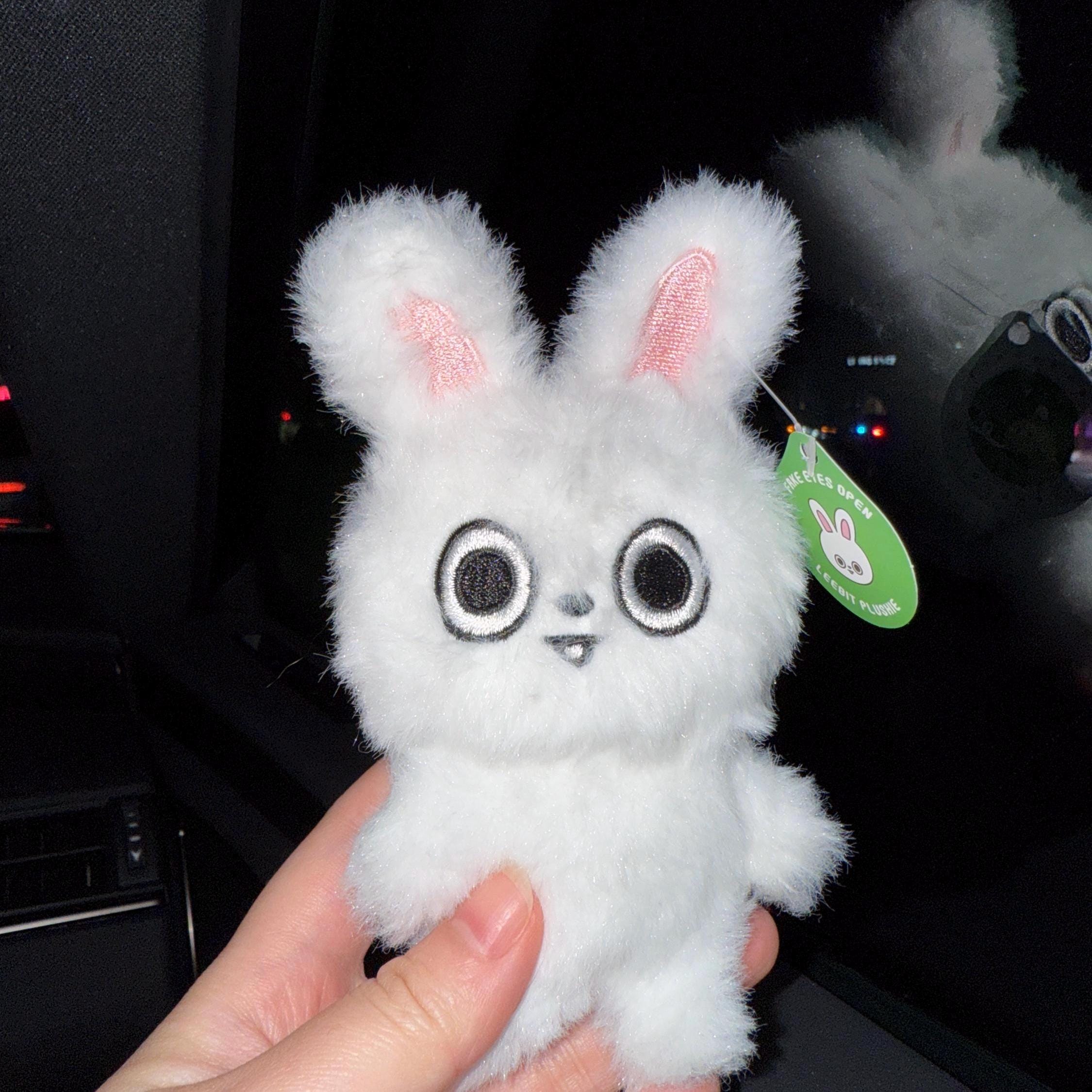 フェイクアイズオープン リービット ぬいぐるみ 予約販売 - Etsy 日本