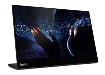 Lenovo Thinkvision M14 | eBay