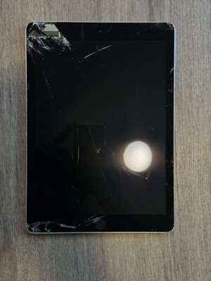 Apple iPad Pro 1st Gen. 128GB, Wi-Fi, 9.7 in - Space Gray | eBay