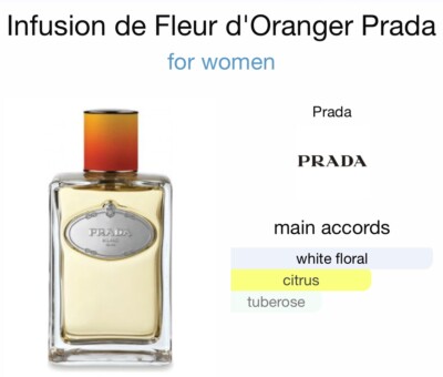PRADA MILANO Infusion de Fleur D'Oranger 3.4oz 100ml EDP Spray
