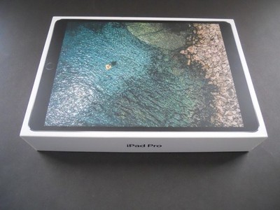 Apple 1st Gen iPad Pro 10.5