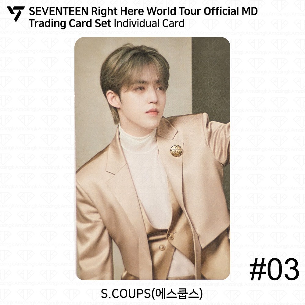 SEVENTEEN Right Here World Tour Official MD Trading Card Set