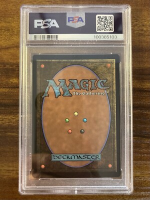 MTG✨PLAINS Full Art FOIL✨SLD- Raining Cats & Dogs PSA 10 RARE