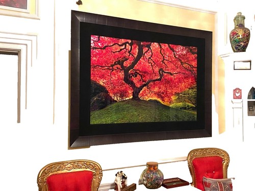 Peter Lik Endless Summer- Limited Edition- 1.5M Recessed Mount