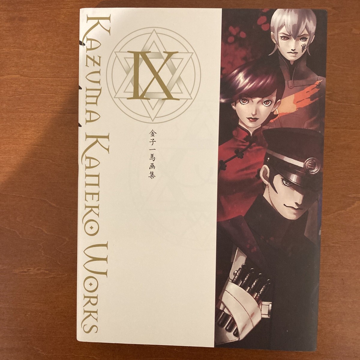 Kazuma Kaneko Art Book IX Illustration | eBay