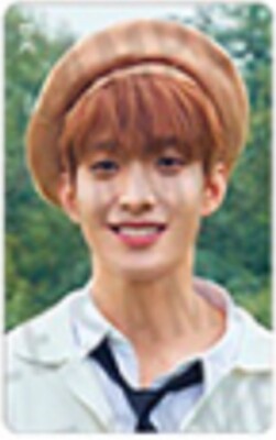 SEVENTEEN An Ode HMV JAPAN LIMITED OFFICIAL PHOTO CARD jeonghan