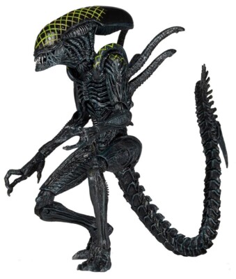 NECA Grid Alien Xenomorph Warrior AVP 7