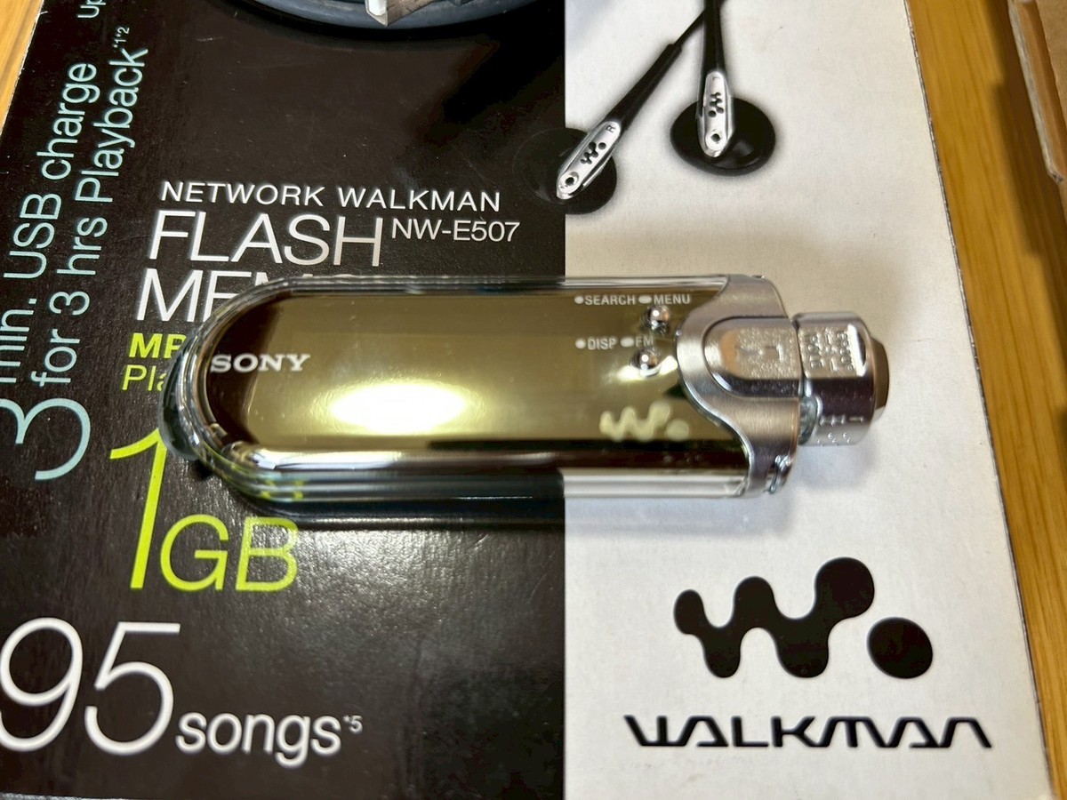 Sony Walkman NW-E507 Digital Media Player MP3 Silver w/ Box