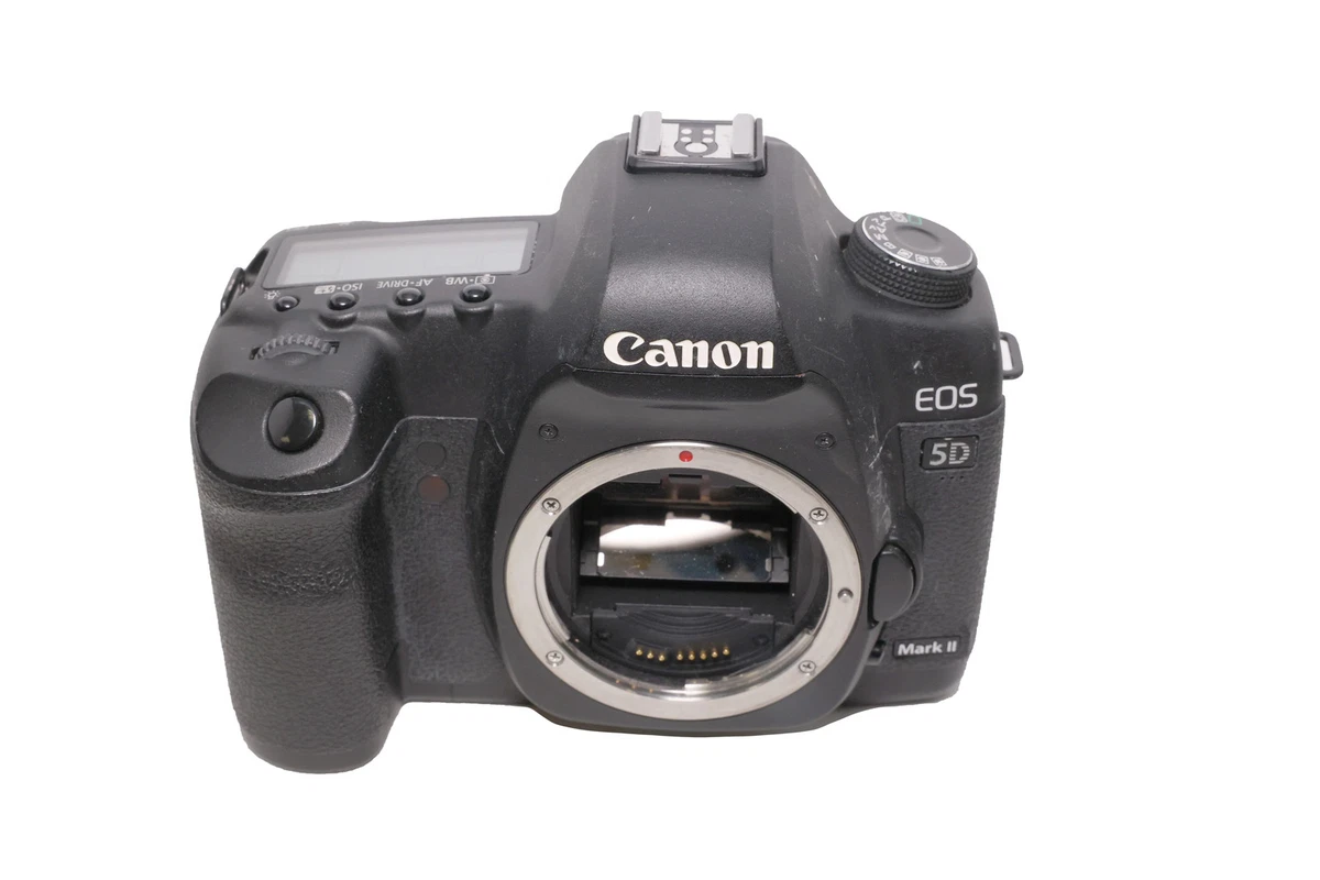Canon EOS 5D Mark II Body only Digital Cameras for Sale | Shop New
