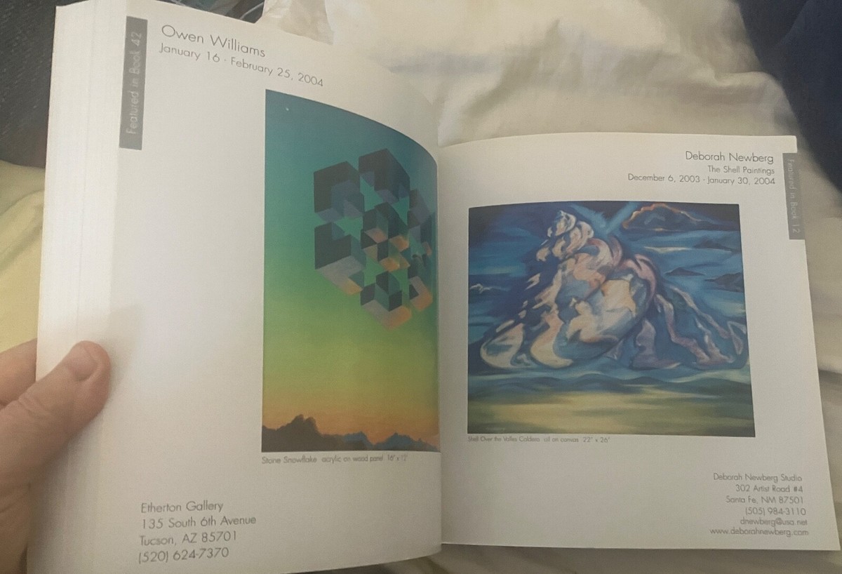 New American Paintings : Number 49 - Juried Exhibition Catalog