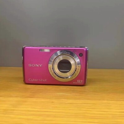 Sony Cyber-Shot DSC-W220 12.1MP CCD Vintage Digital Camera - 90