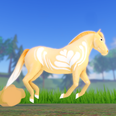 Wild Horse Islands Autumn 2023 Limited Pumpkin Spice Latte Fjord