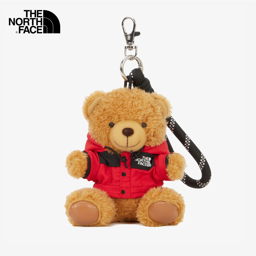 NEW THE NORTH FACE MT BEAR KEYRING NA5AR05A BROWN | eBay