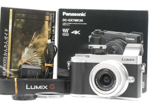 Lumix DC-G100V Mirrorless Camera + Hand Grip & Sigma 30mm F1.4