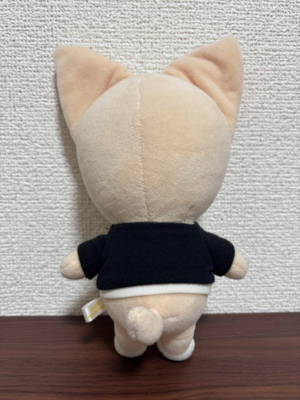 Stray Kids I.N SKZOO FoxI.Ny Official Plush Doll Original Ver