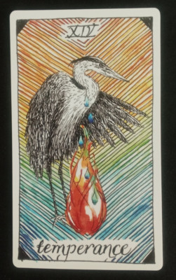 希少レア】TRUE NORTH TAROT＆Wild Lands Tarot 希少レア】TRUE NORTH